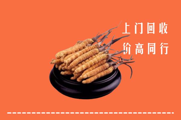 高价求购：顺平县回收散虫草