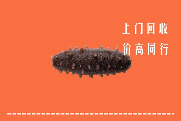 高价求购：顺平县回收海参