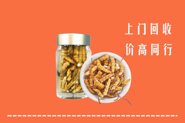 顺平县回收冬虫夏草