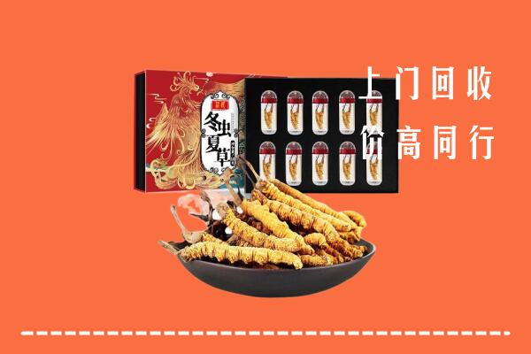 收购行情：顺平县回收虫草
